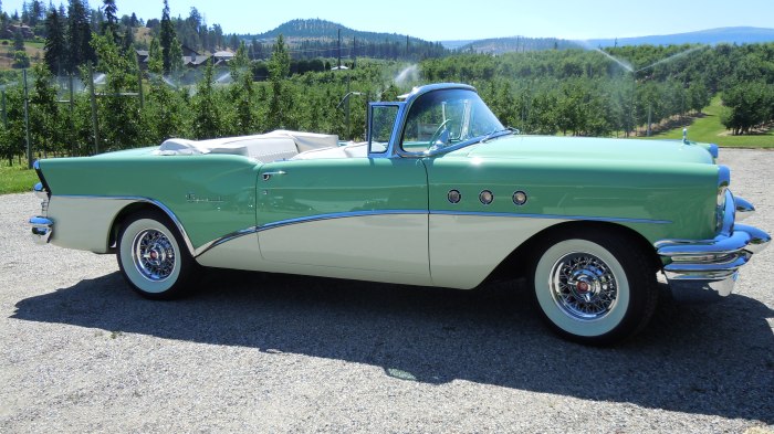 1955 Buick Special