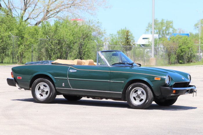 Fiat 1981 offered