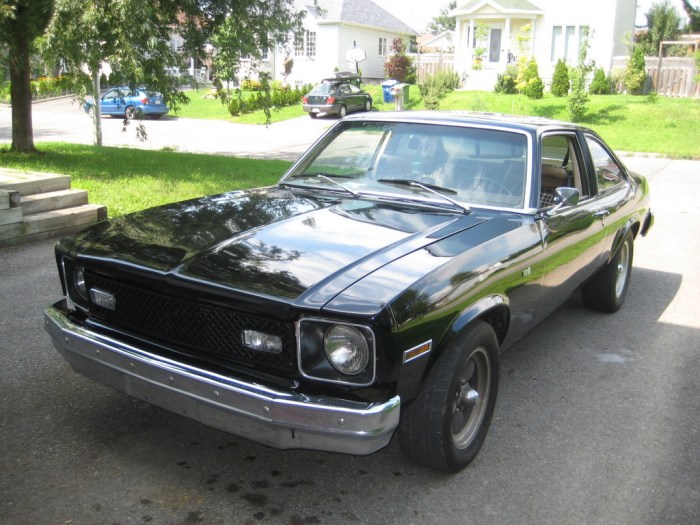 1977 Chevrolet Nova: A Classic American Muscle Car