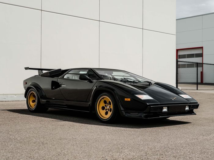 Lamborghini countach 1988 vin