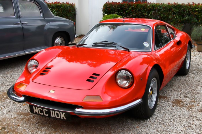 Ferrari dino vin
