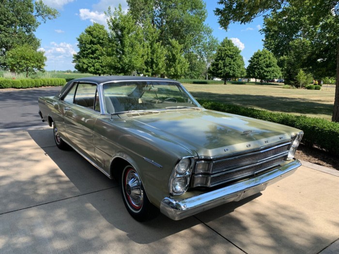 Galaxie smooth brute