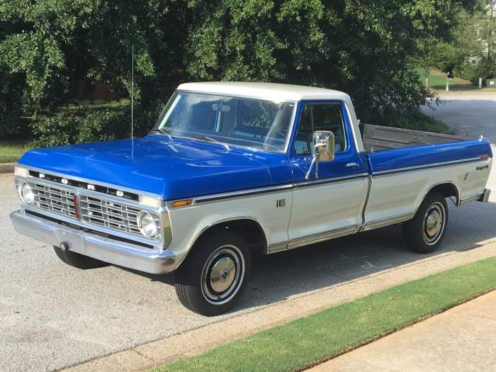 1973 Ford F100