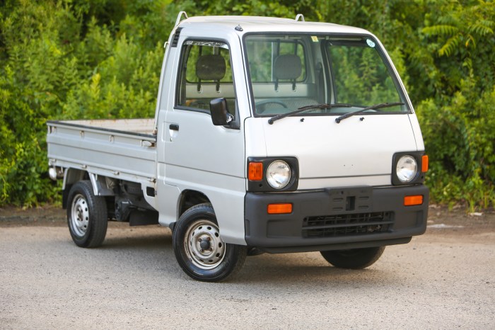 1992 Subaru Sambar