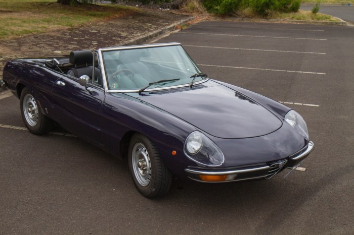 1976 Alfa Romeo 2000: A Classic Italian Sports Car