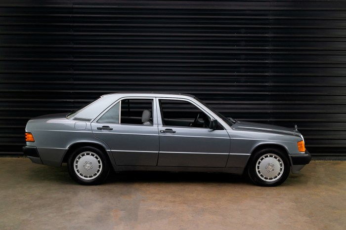 190 w201 1991 e190 fresca esencia cumple autoevolution coche añitos día