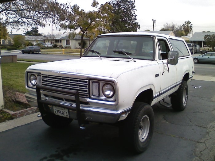 1978 Plymouth Trailduster