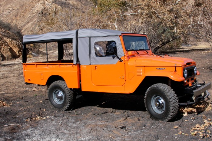 1965 Toyota Land Cruiser: A Legacy of Ruggedness and Adventure