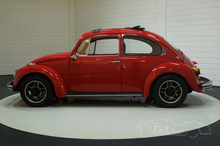 Beetle