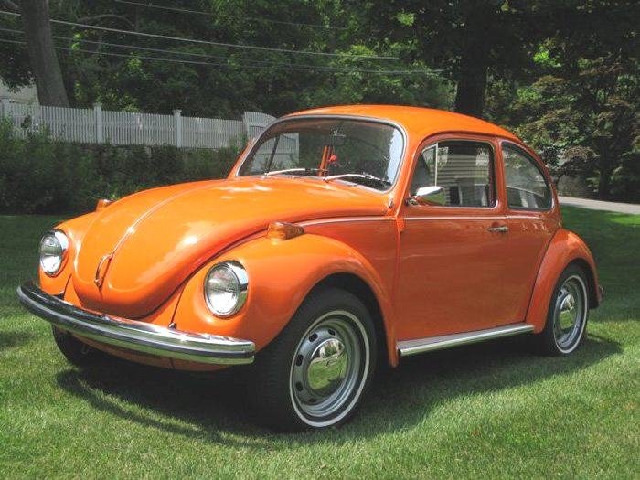 Beetle